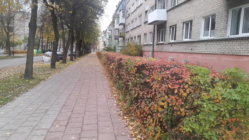 Apartment For You Šiauliai Dış mekan fotoğraf